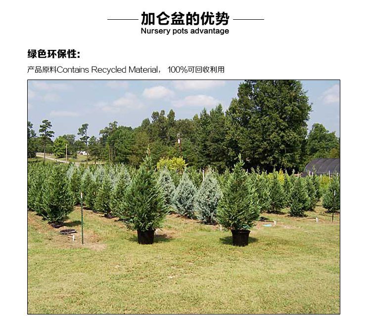 从匠人之手到园林之心 7加仑黑色花盆在绿化工程中的核心价值