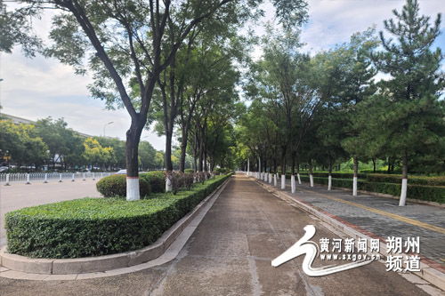 朔州城发园林绿化开展绿化修剪 精细管护织就宜人环境新图景
